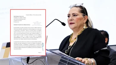 recibe cámara de diputados renuncia de guadalupe taddei