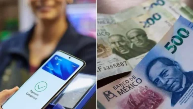 Senado reconoce que 8 de cada 10 comercios en México utilizan efectivo