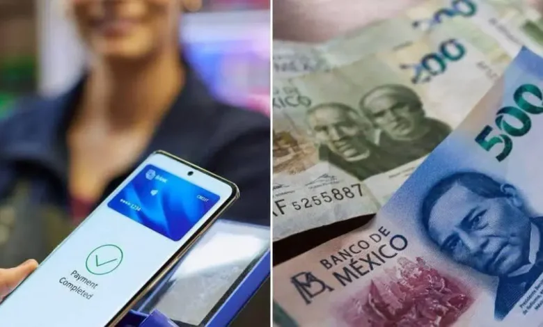 Senado reconoce que 8 de cada 10 comercios en México utilizan efectivo