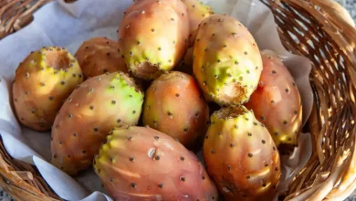 tuna mexicana el fruto que conquistó sicilia y se llama fico d’india